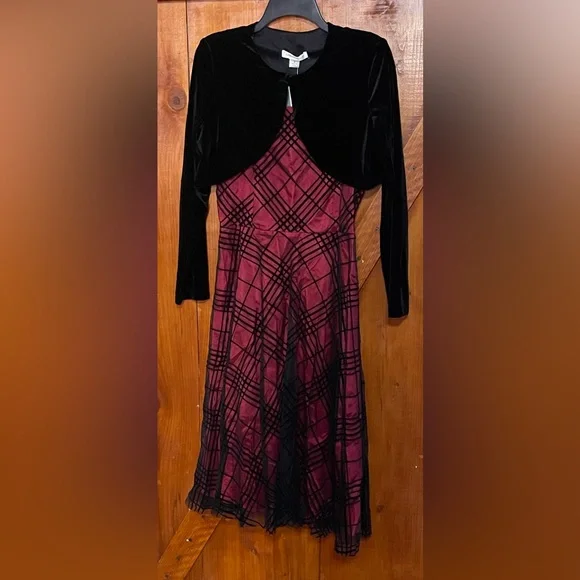 NWT Coldwater Creek Sheer Mesh Jacketed Dress Sz 8 - Picture 15 of 16